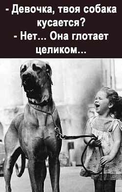 Тибетский мастиф. Два... знакомая, птичку, наверное, плечо, кормит, совсем, вороны, когда, права, Штрафовалкато, выросла, поверили, матерей, обсуждают, влияние, такихто, сексуально, сержант, удовлетворенных, дорожного