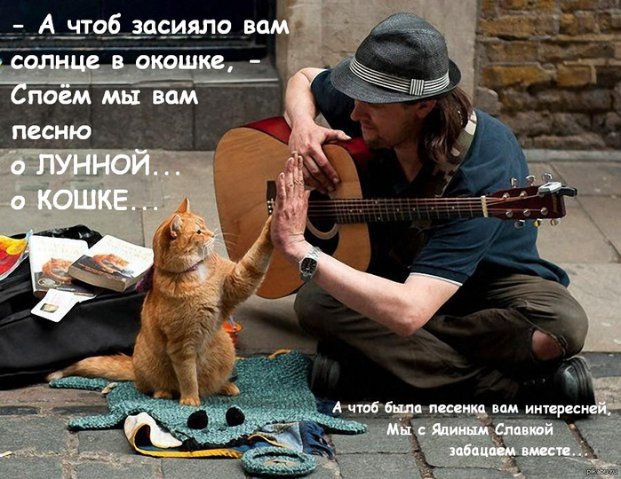 ДЕВЯТОЕ КОТЮЛЯ демотиваторы,животные,позитив,приколы,Смешные животные