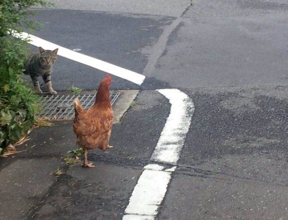 Позитив сплошь и рядом Позитив сплошь и рядом