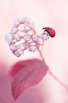 Картинки, приколы и фотографии для улыбки Картинки, приколы и фотографии для улыбки