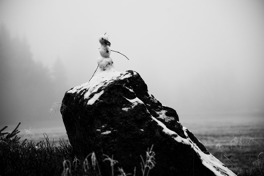 Little Snowman by Steffen Wenske on 500px.com