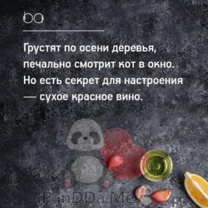 Свеженькая порция из 15 хороших и добрых историй от обычных пользователей 