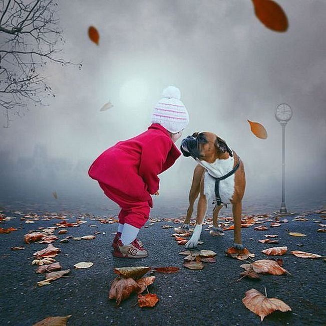 Фотопост о Дружбе и Добре дети, добро, животные, фотографии