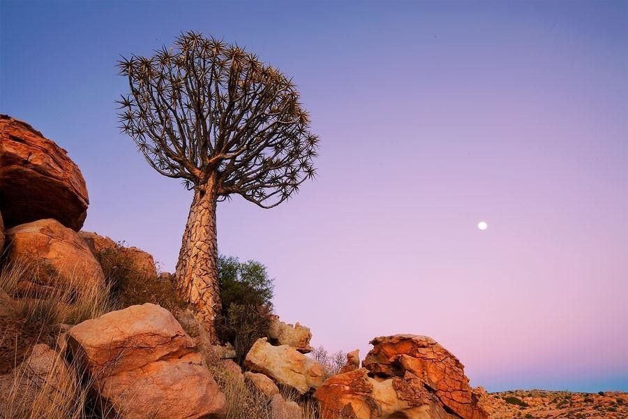 Фантастические пейзажи Намибии намибия,пустыня,фото