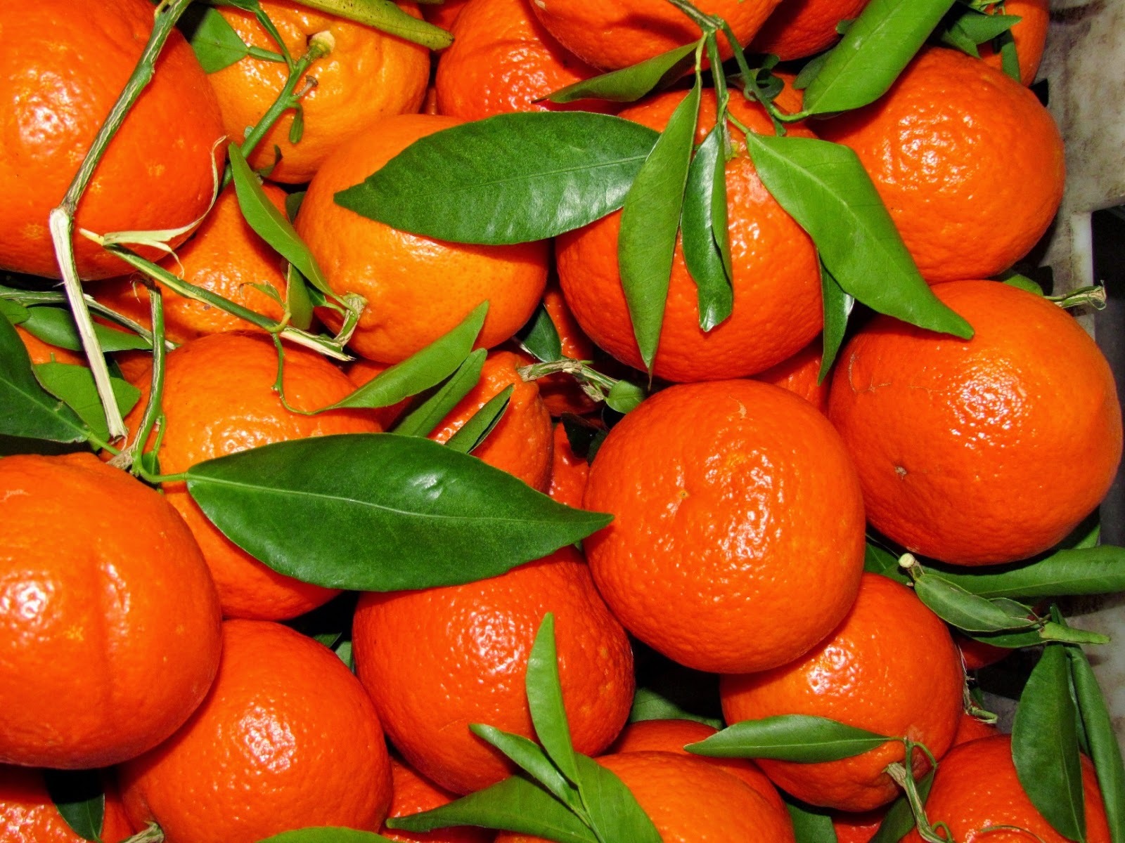 Что будет, если съесть больше 5 мандаринов в день? еда,здоровье,Новый год,фрукты,цитрусовые