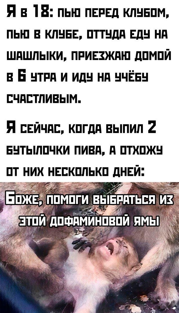 Отдых - это наркотик: как только начинаешь работать, тут же начинается ломка Отдых - это наркотик: как только начинаешь работать, тут же начинается ломка