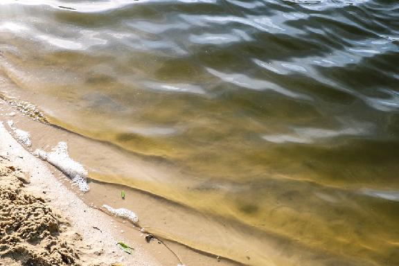 В Тамбовской области назвали пляжи с плохим качеством воды