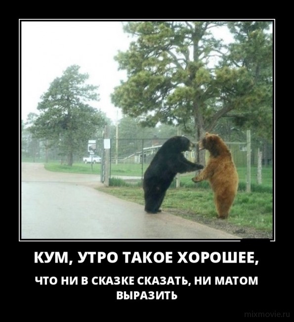 Классные, веселые и забавные демотиваторы из сети демотиваторы свежие,смешные демотиваторы,юмор