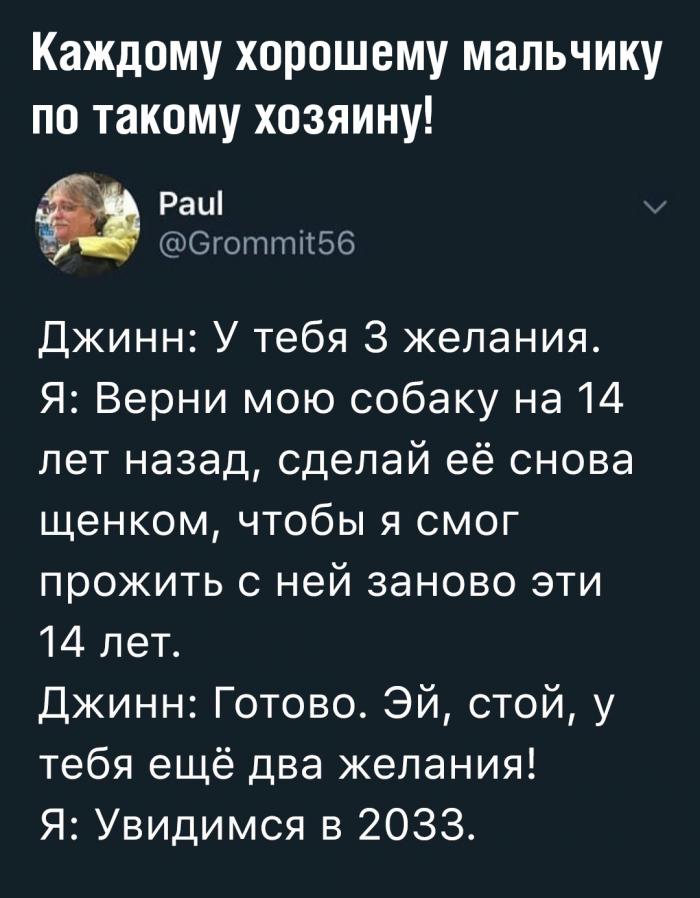 Веселые картинки и забавные фото с надписью из нашей жизни Веселые картинки и забавные фото с надписью из нашей жизни картинки с надписями,приколы,смешные комментарии,юмор