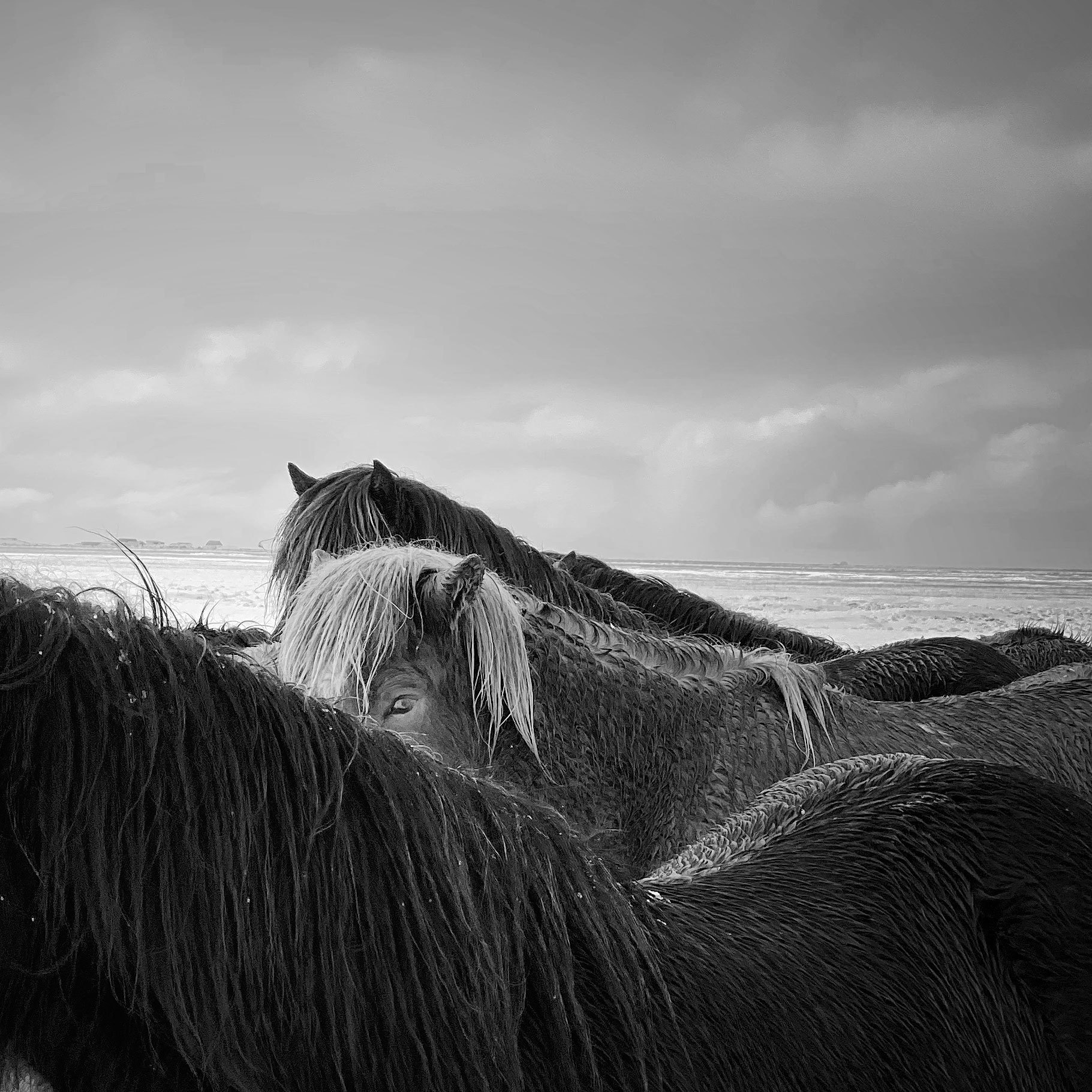 Лучшие фотографии 2020 года, сделанные на айфон жизнь,интересное,конкурс,фотография