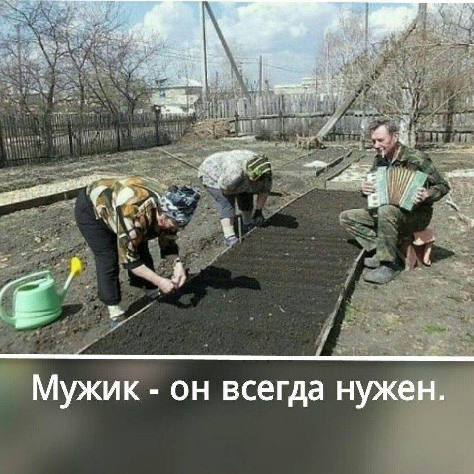 ЗАЧЕМ СЕГОДНЯ Я СКАЗАЛ ЧТО ХОЛОСТОЙ ЗАЧЕМ СЕГОДНЯ Я СКАЗАЛ ЧТО ХОЛОСТОЙ веселые картинки