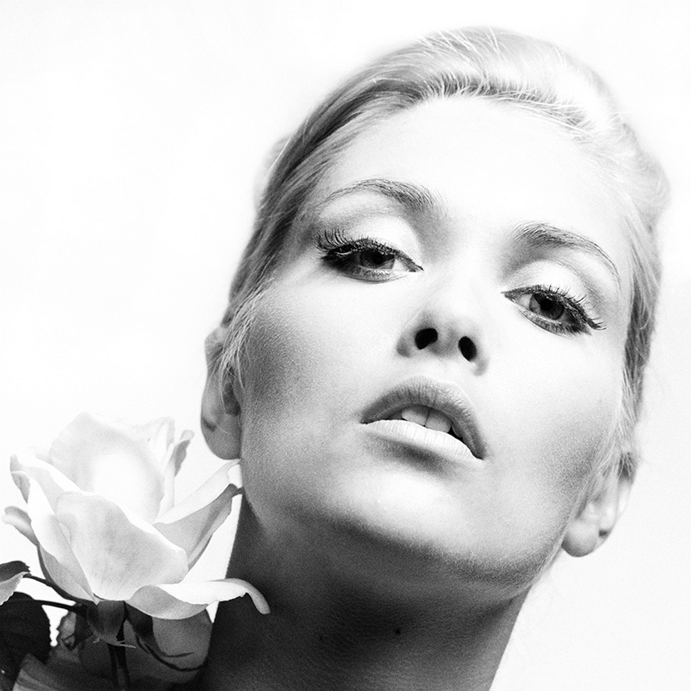 Птицы Британии 