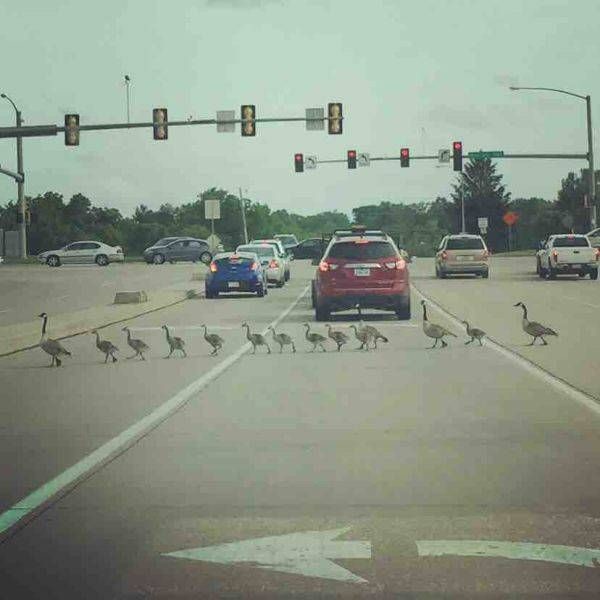 Прикольные картинки прикол, соцсети, юмор