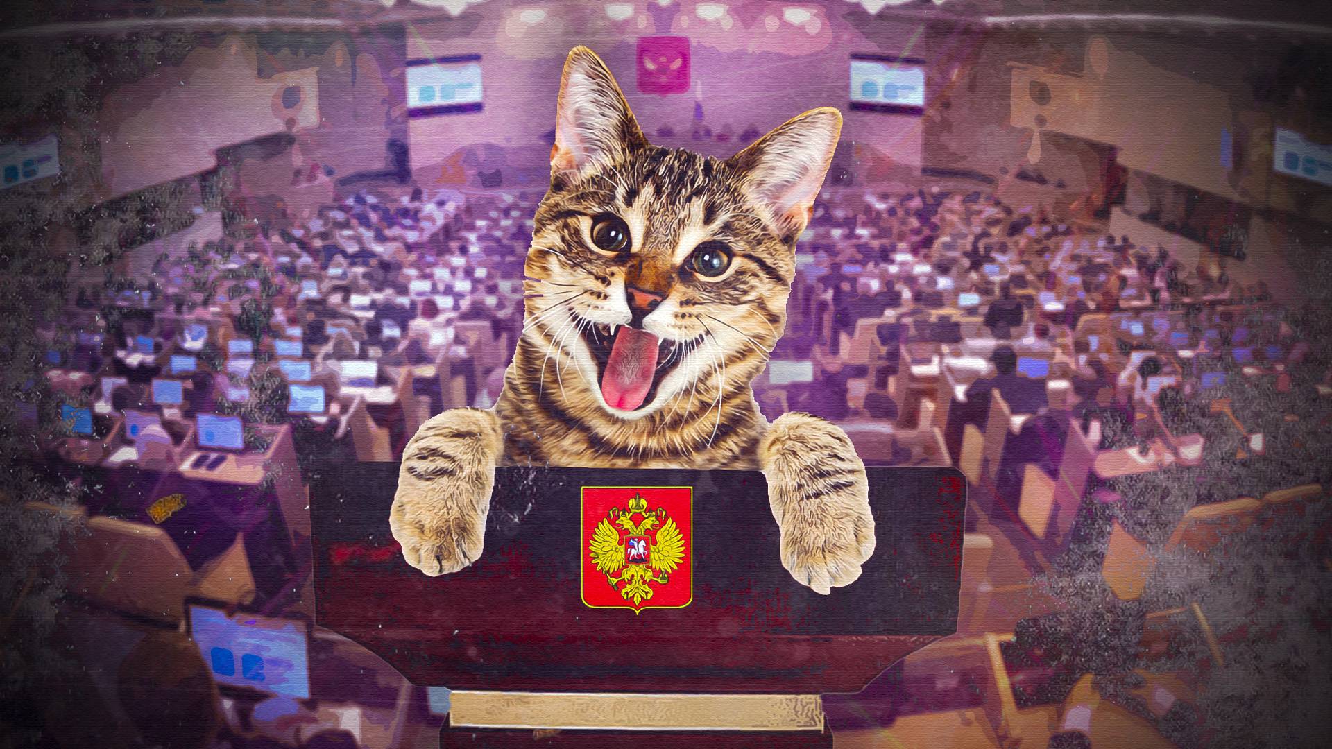 Уличный кот стал участником заседания местной администрации во Пскове