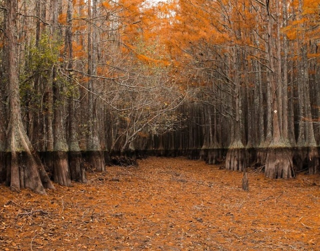 Фотоподборка четверга 