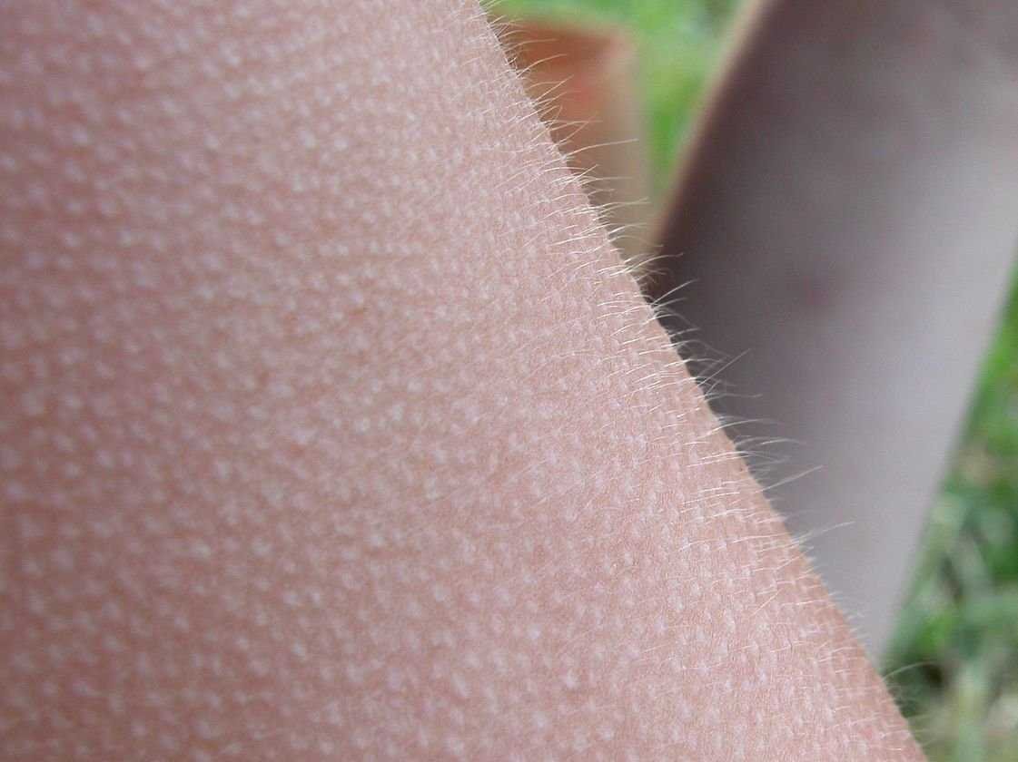 Фотография: 23 неизвестных факта о нашем мире, которые заставят вас задуматься №11 - BigPicture.ru