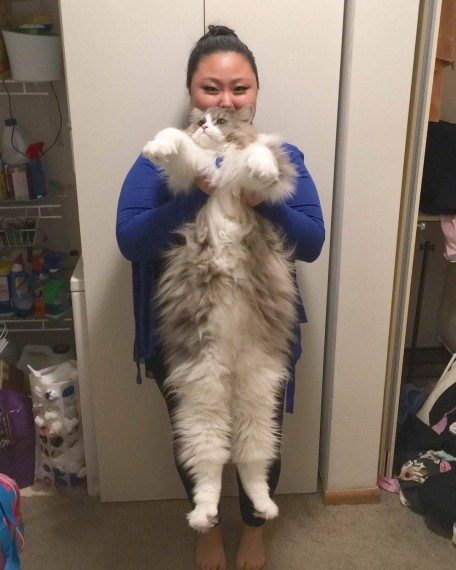 Позитив сплошь и рядом Позитив сплошь и рядом