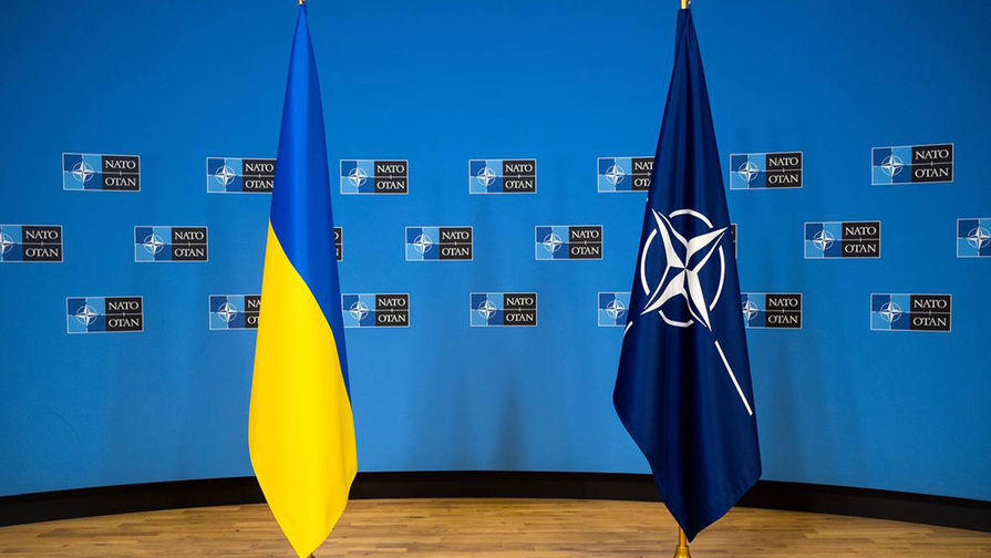 Bloomberg: автономия для Донбасса может заблокировать вступление Украины в НАТО