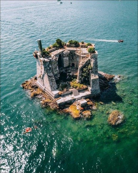 Забавная подборка дня Забавная подборка дня