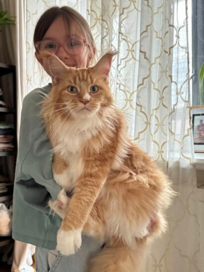 Всем доброго вечера!