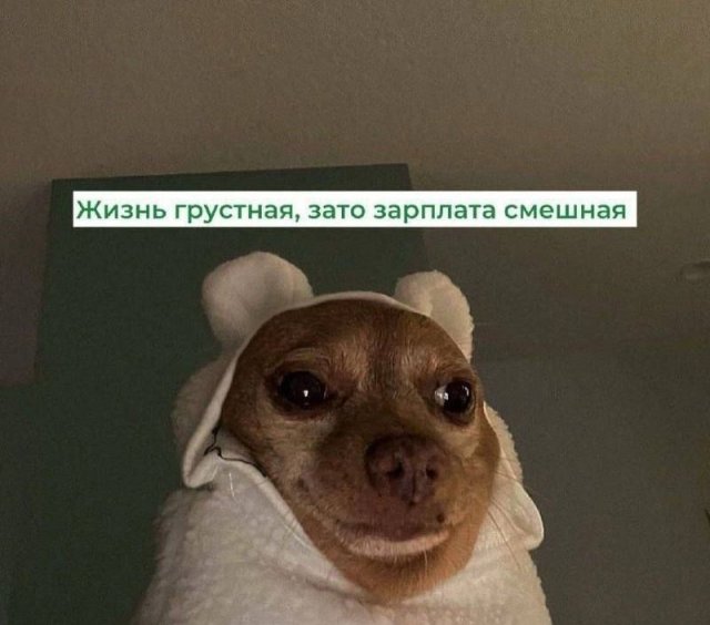 Хорошо погуляли — это когда хочется начать новую жизнь. В новом городе, под новым именем.... 