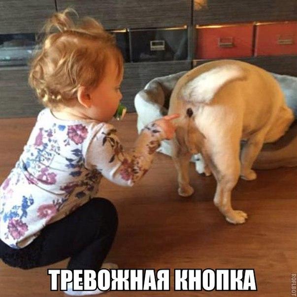 Подборка зачетных, классных и прикольных фотографий с забавными надписями со смыслом Подборка зачетных, классных и прикольных фотографий с забавными надписями со смыслом картинки с надписями,красивые фотографии,прикольные картинки,смешные картинки,смешные комментарии