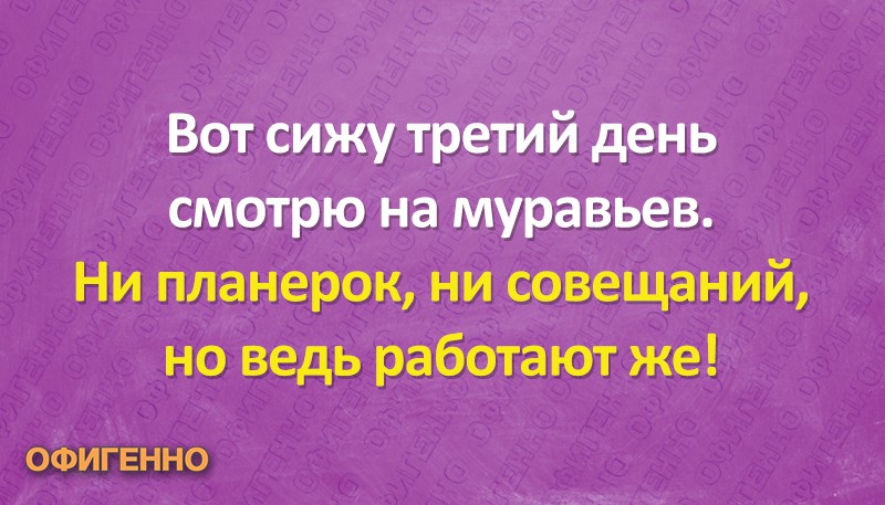 Вот посмотри на него. Планерка картинки смешные. Муравьи ни планерок ни совещаний и главное все работают. Анекдот Муравейник три дня ни одного совещания.