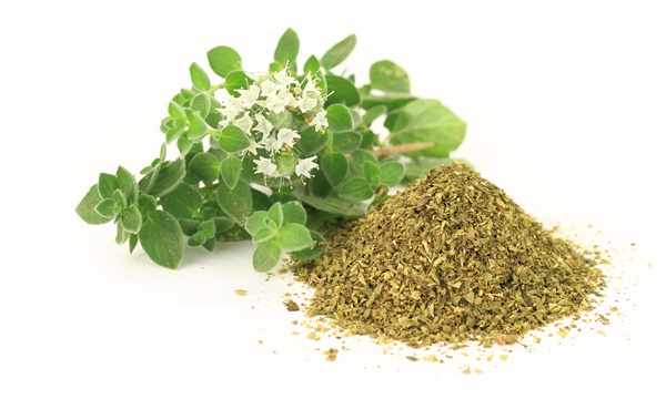 oregano-7