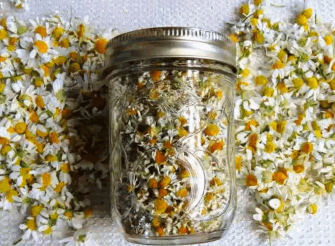 Ð Ð¾Ð¼Ð°ÑÐºÐ° Ð² ÑÐµÑÐµÐ¿ÑÐ°Ñ Ð½Ð°ÑÐ¾Ð´Ð½Ð¾Ð¹ Ð¼ÐµÐ´Ð¸ÑÐ¸Ð½Ñ