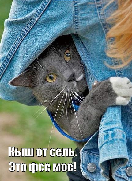 Смешные эксклюзивные картинки Смешные эксклюзивные картинки картинки,прикол,юмор