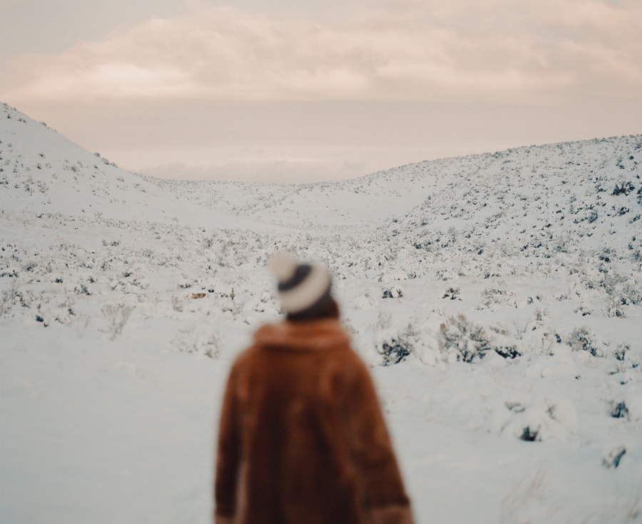 trouble focusing  by Sam Brockway on 500px.com