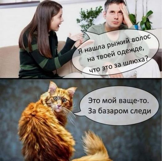 Юмор из интернета 654