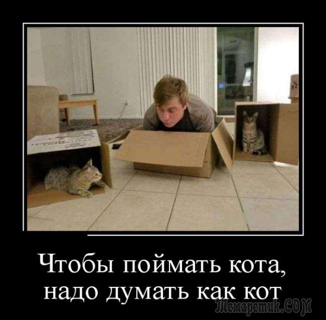 Если у вас есть совесть, значит, наверняка нет денег!