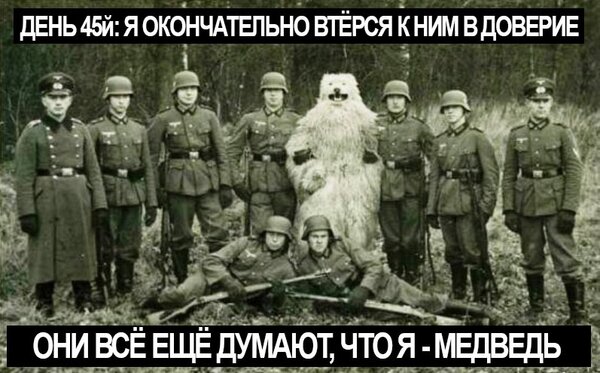 Когда армия становится смешной: 11 самых прикольных армейских мемов со всего мира Когда армия становится смешной: 11 самых прикольных армейских мемов со всего мира
