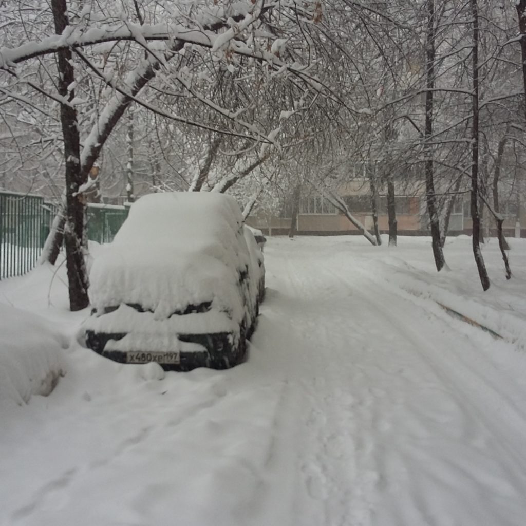 Сколько выпало снега в москве