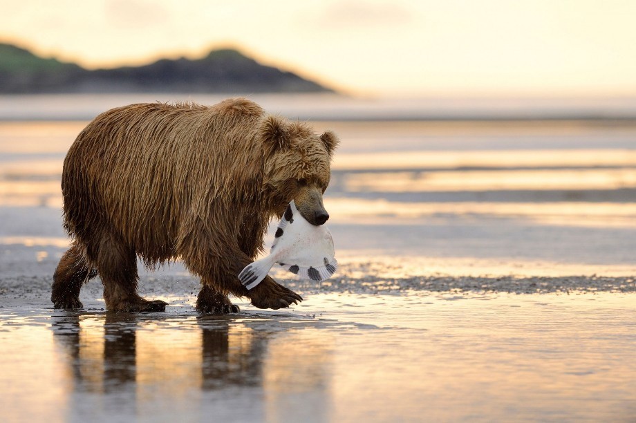 15 самых красивых мест на Аляске