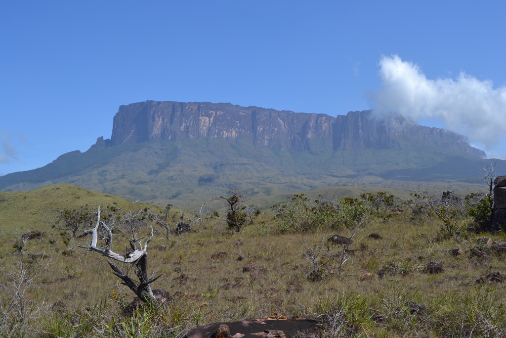 roraima y kukenan