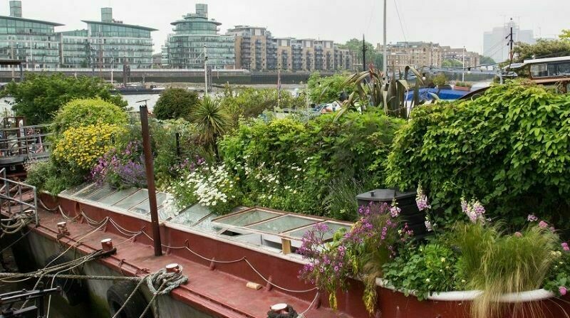 4 самых необычных места на планете, где выращивают растения 4 самых необычных места на планете, где выращивают растения зелень,планета,растения