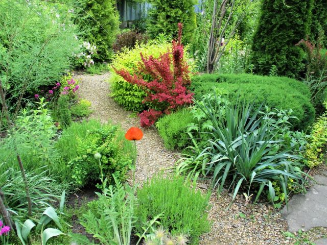 10 идей как защитить свой сад от чужих глаз ландшафтный дизайн,садоводство