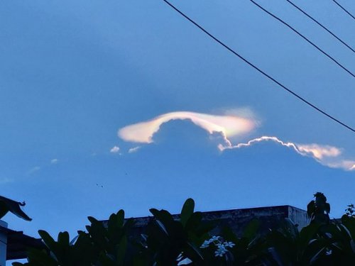 16 раз, когда коллективный разум помог людям понять, что же они нашли 16 раз, когда коллективный разум помог людям понять, что же они нашли