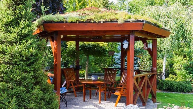 10 идей как защитить свой сад от чужих глаз ландшафтный дизайн,садоводство