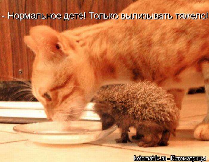 Мысли вслух :)