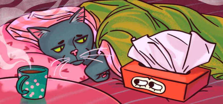 Что делать, если вы заболеваете простудой