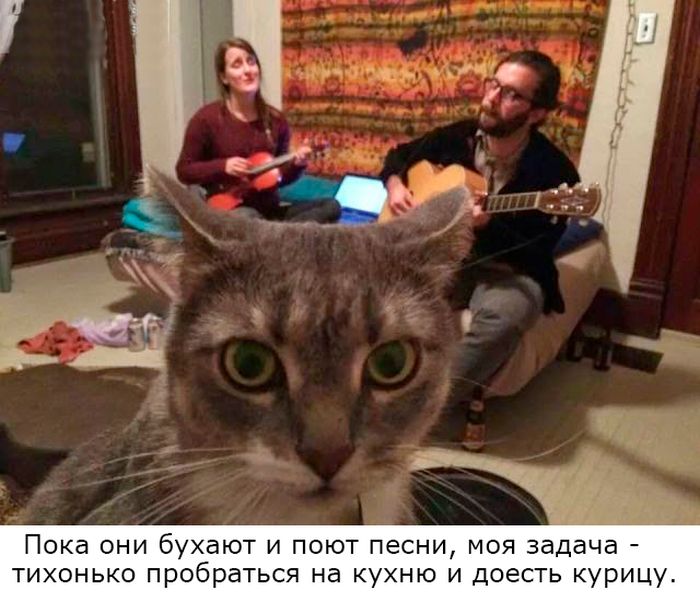 Плесень размножается спорами. Не спорьте с плесенью! Плесень размножается спорами. Не спорьте с плесенью! анекдоты,веселые картинки,приколы,юмор