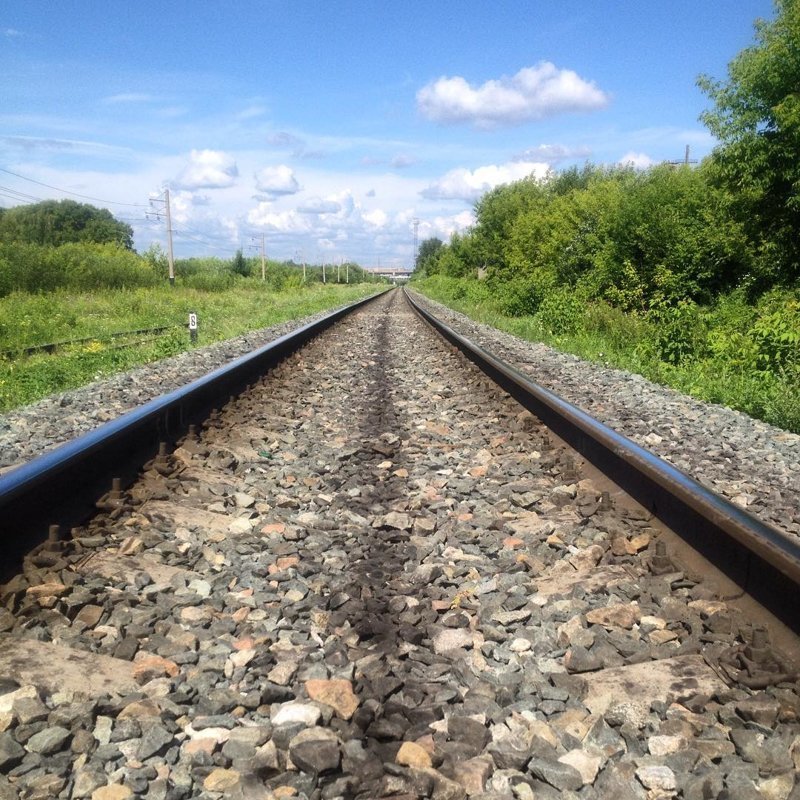 Может, они не знают, как устроен туалет на железной дороге? Россия,юмор