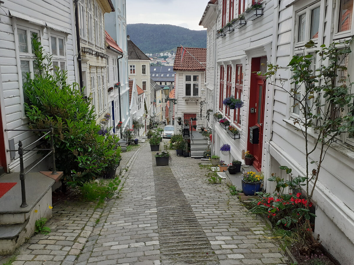 Как норвежцы украшают двери своих жилищ. Один из самых красивых переулков Бергена. Strangebakken идеи для дома,интерьер и дизайн,ландшафтный дизайн,садоводство