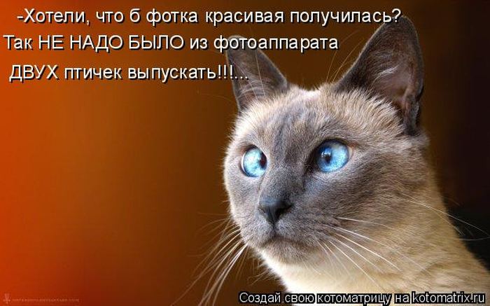 Мысли вслух :)