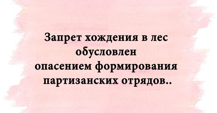 Смешные надписи для чудесного настроения Смешные надписи для чудесного настроения