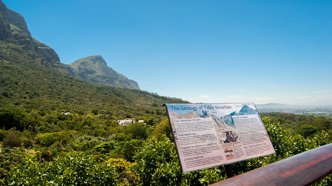 Сказочная дорога над деревьями — одно из самых уникальных мест в Кейптауне Сказочная дорога над деревьями — одно из самых уникальных мест в Кейптауне авиатур