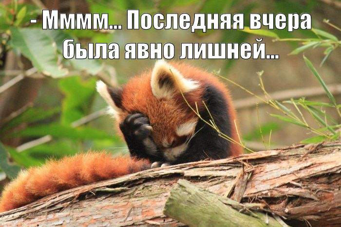 Смешные эксклюзивные картинки Смешные эксклюзивные картинки картинки,прикол,юмор